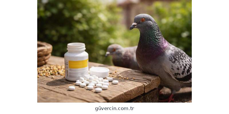 Bulgar Hapı Enrofloxin ve güvercin