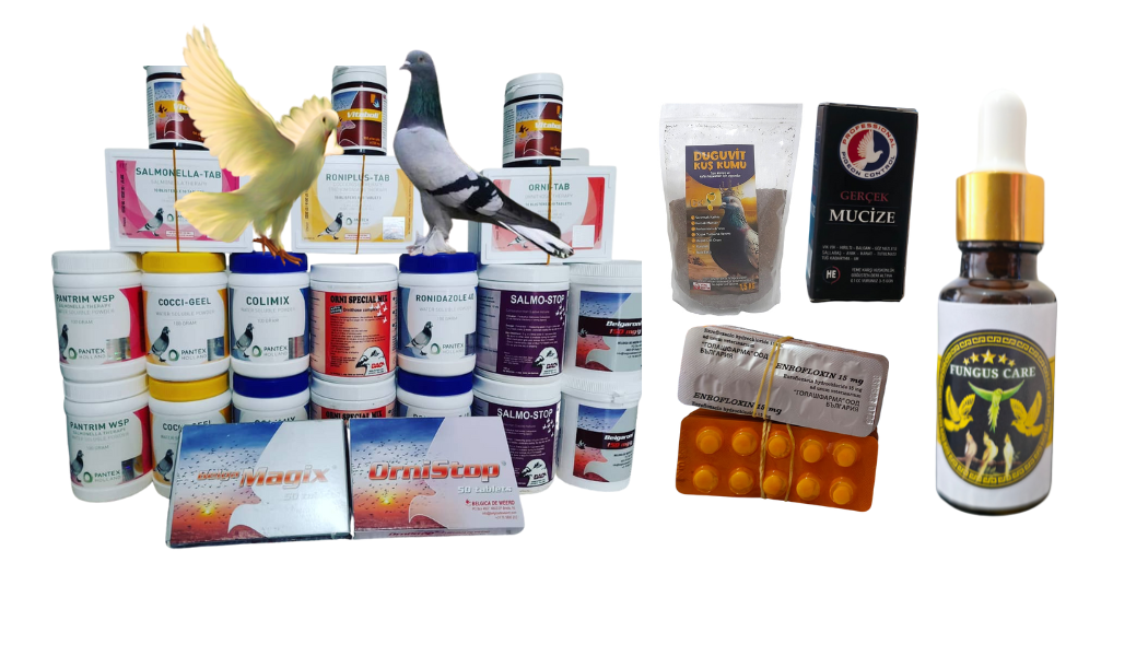 TÜM ÜRÜNLERİMİZ