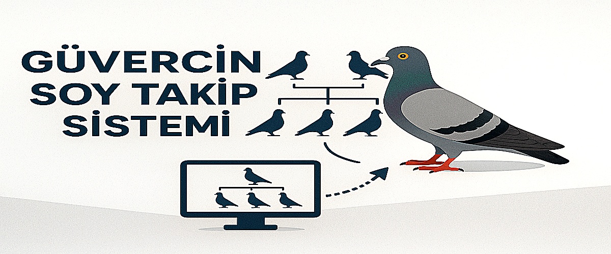 ÜCRETSİZ GÜVERCİN SOY AĞACI