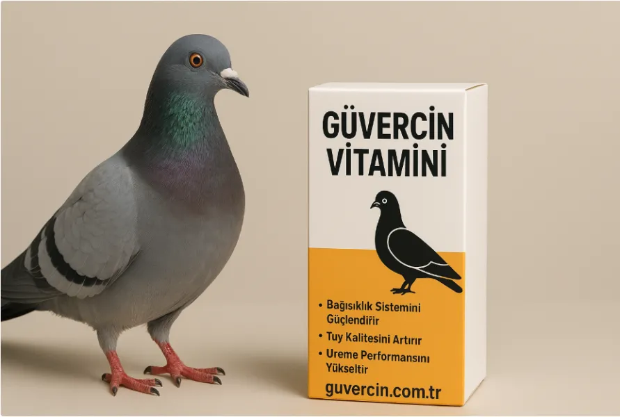 Güvercin Vitaminleri