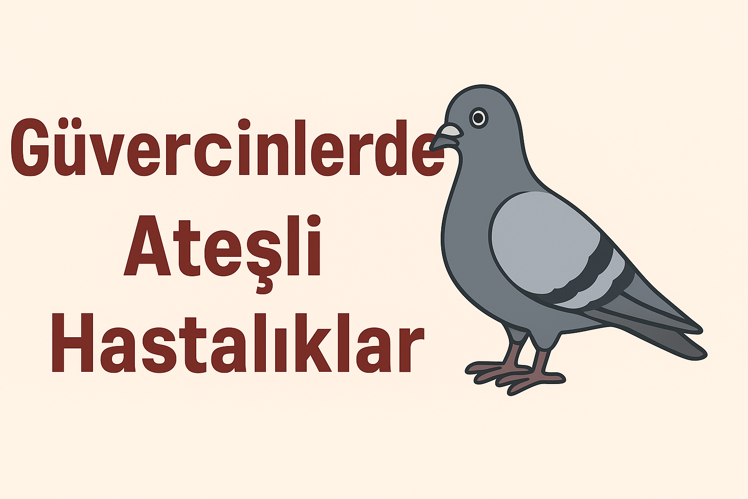 Güvercin Ateş Hastalıkları – Belirtiler, İlaçlar ve Önlemler