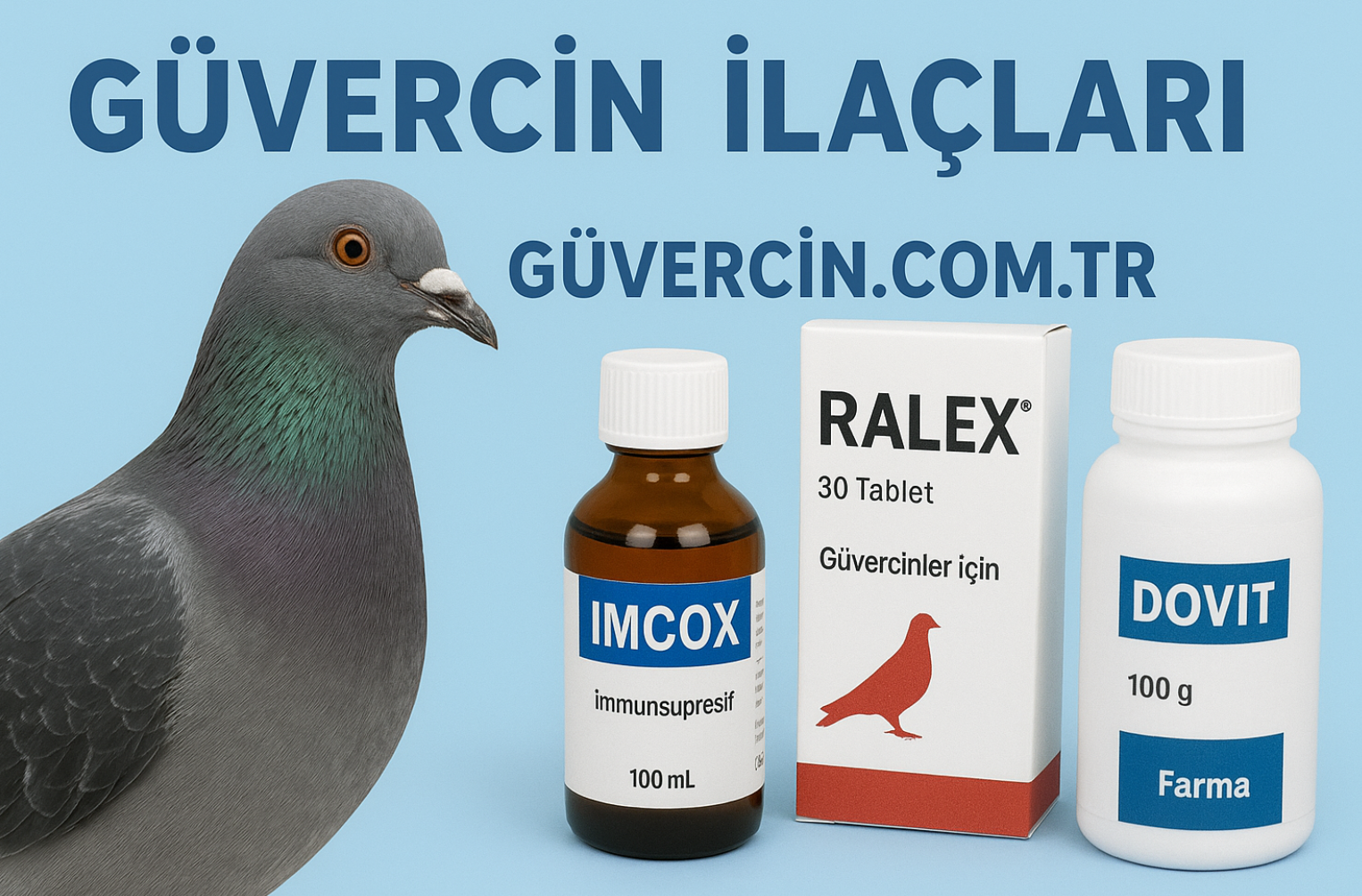 Güvercin İlaçları: Hastalıklar, Tedavi Yöntemleri ve En Çok Aranan İlaçlar