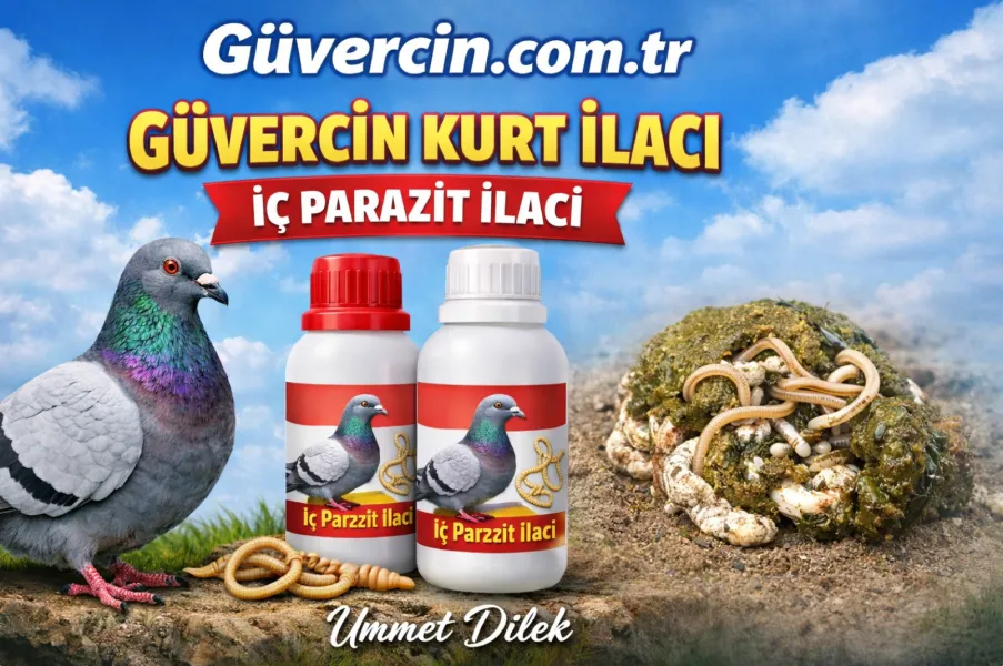 Güvercin - Tavuk - Kuş - Kurt İlacı İç Parazit Belirtileri ve Etkili Tedavi Yöntemleri