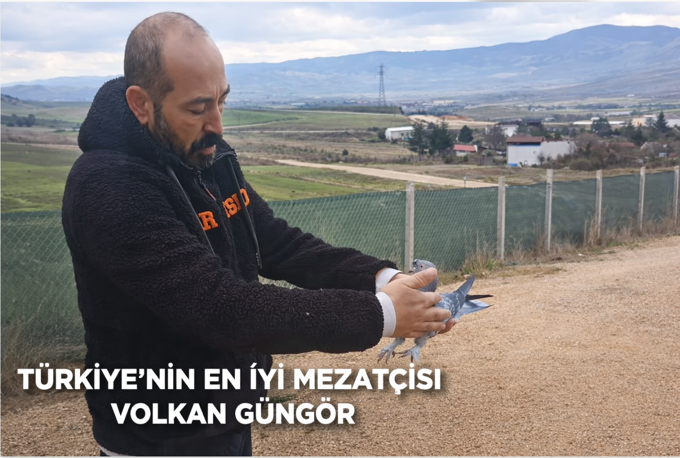 Türkiye’nin En İyi Canlı Güvercin Mezatçısı Kimdir?