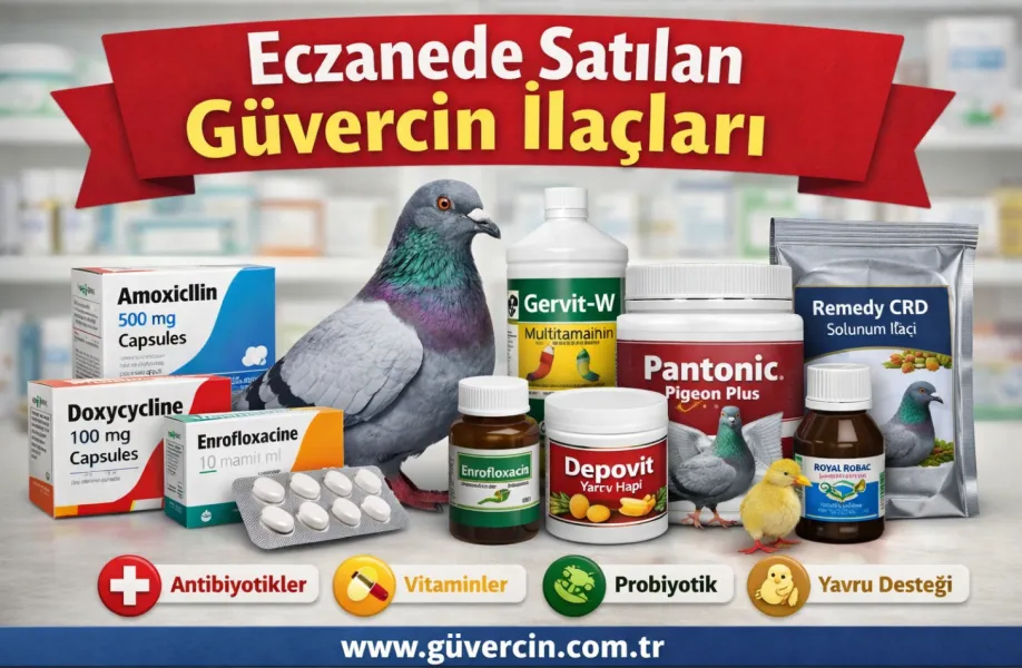 Eczanede Satılan Güvercin İlaçları