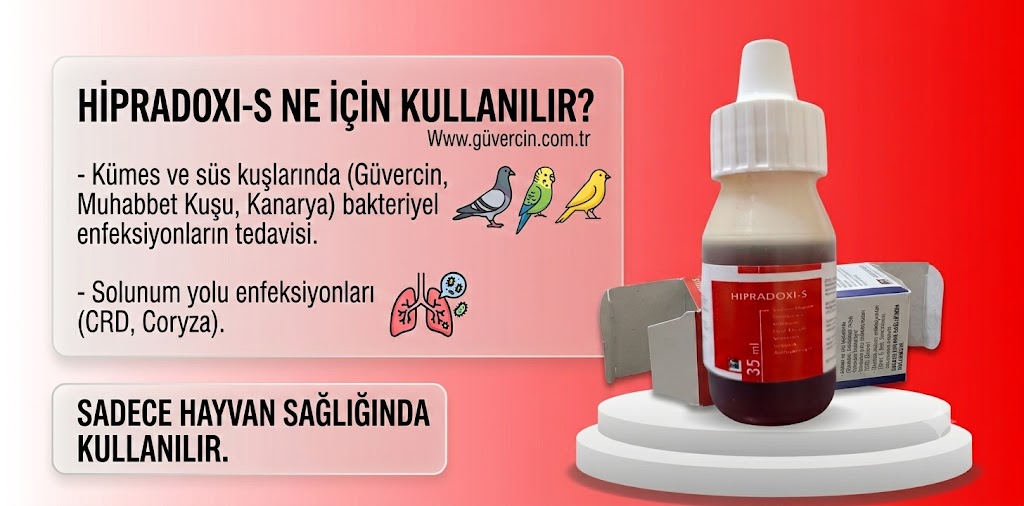 Hipradoxi Nedir?
