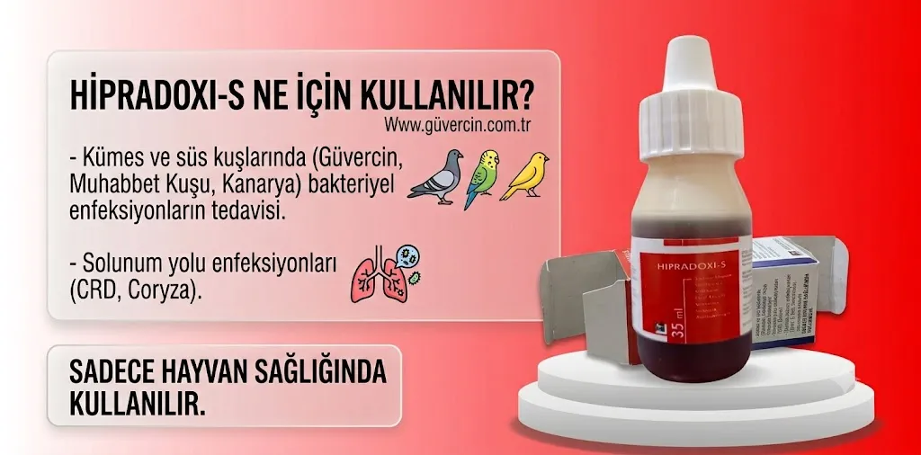 Hipradoxi Nedir?