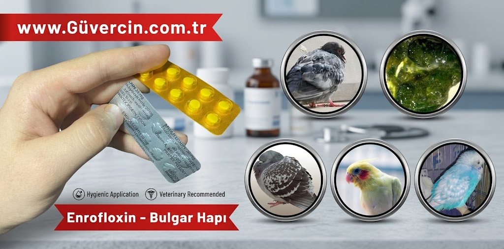 Enrofloxin & Bulgar Hapı Nedir? Güvercin ve Kanatlı Hayvanlarda Kullanımı