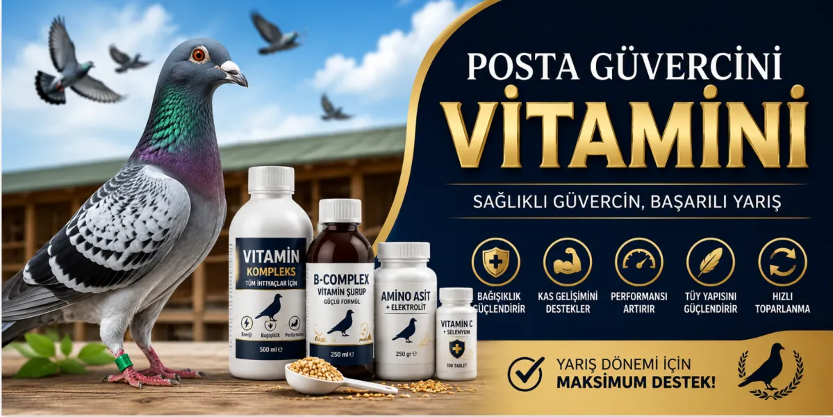 Posta Güvercini Vitamini Nedir? Posta Güvercinleri İçin En İyi Vitamin Hangisidir?