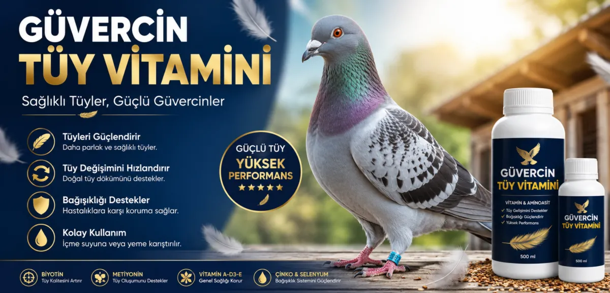 Güvercin Tüy Vitamini Nedir? En İyi Güvercin Tüy Vitamini Nasıl Kullanılır?