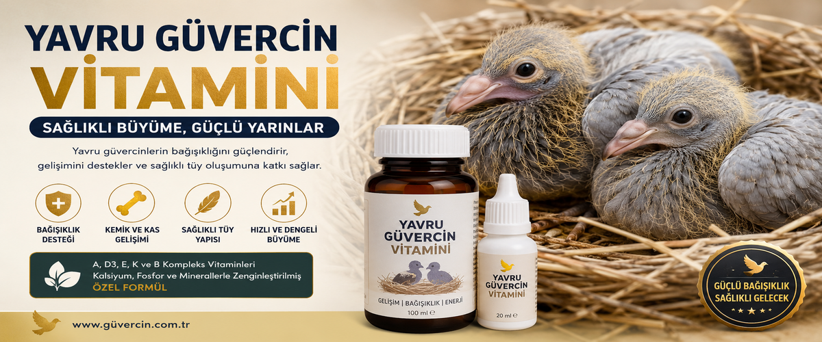 Yavru Güvercin Vitamini Nedir? Yavru Güvercin Vitamini Ne İşe Yarar?