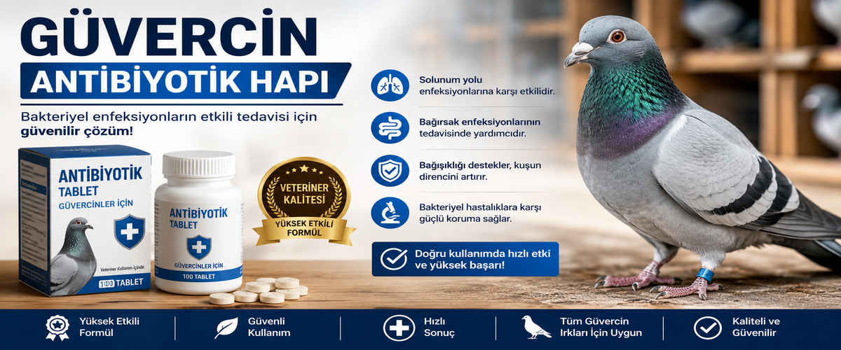 Güvercin Antibiyotik Hapı Nedir, Ne İşe Yarar?