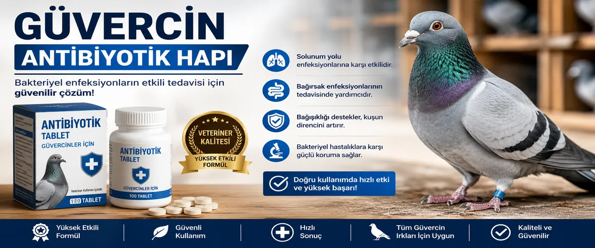 Güvercin Antibiyotik Hapı Nedir, Ne İşe Yarar?