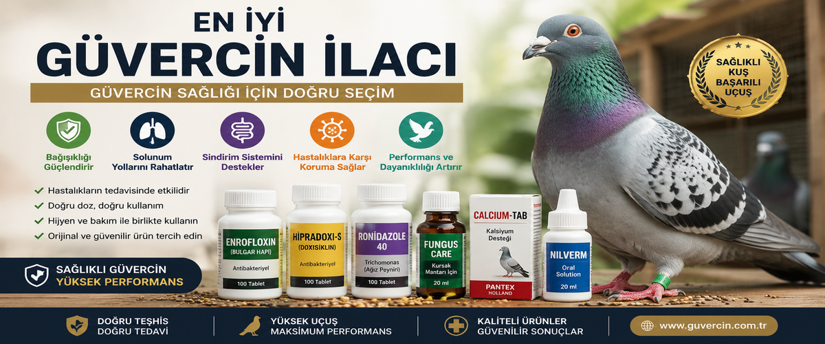 En İyi Güvercin İlacı Hangisidir? Güvercin Sağlığı İçin Doğru Seçim Nasıl Yapılır? En İyi Güvercin İlacı