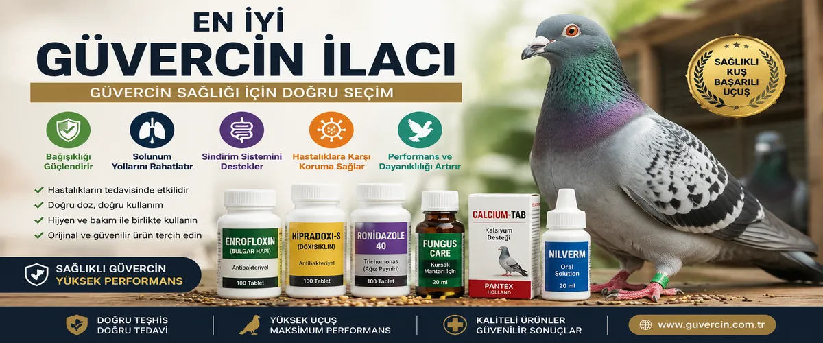 En İyi Güvercin İlacı Hangisidir? Güvercin Sağlığı İçin Doğru Seçim Nasıl Yapılır? En İyi Güvercin İlacı