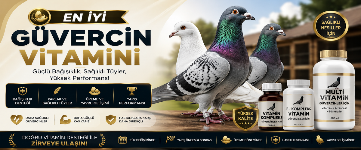 En İyi Güvercin Vitamini Hangisidir? Güvercinler İçin Vitamin Seçimi Rehberi