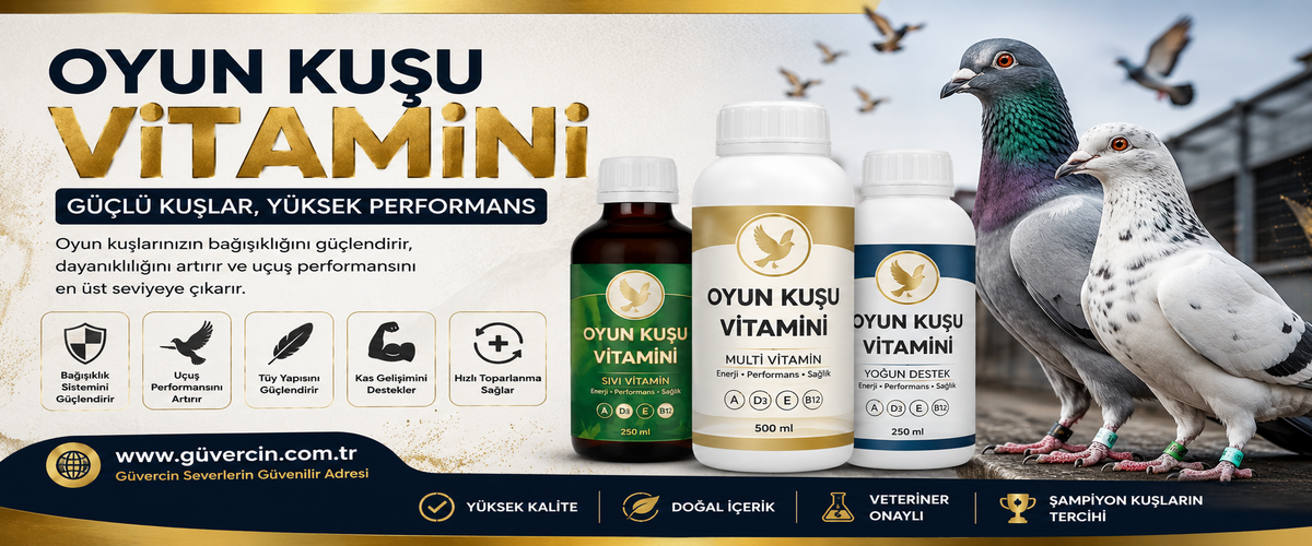 Oyun Kuşu Vitamini | En İyi Vitamin Tavsiyeleri ve Faydaları