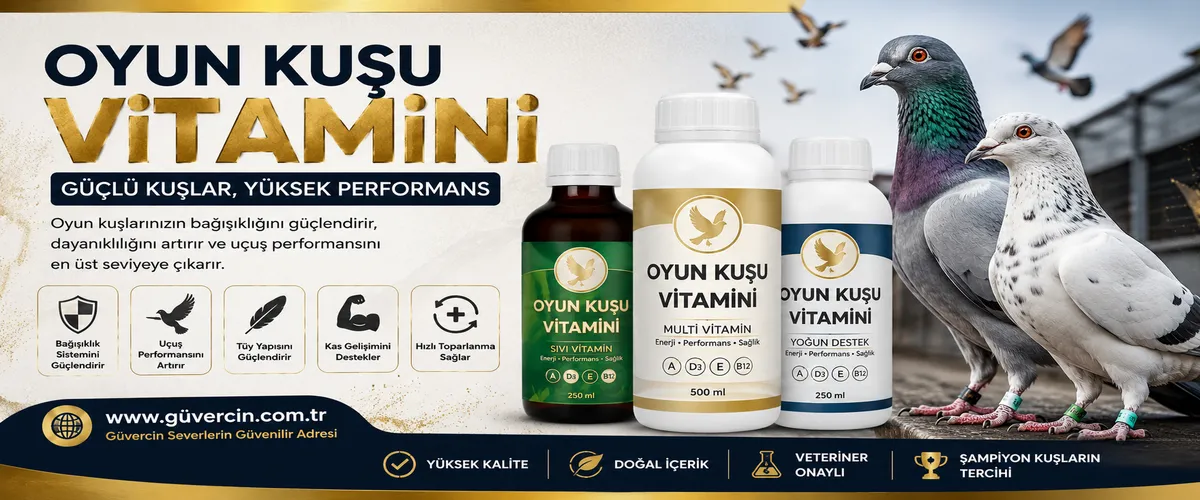 Oyun Kuşu Vitamini | En İyi Vitamin Tavsiyeleri ve Faydaları