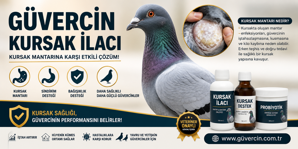 Güvercin Kursak İlacı | Kursak Mantarı Belirtileri ve Tedavi Rehberi