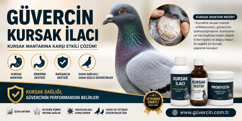 Güvercin Kursak İlacı | Kursak Mantarı Belirtileri ve Tedavi Rehberi
