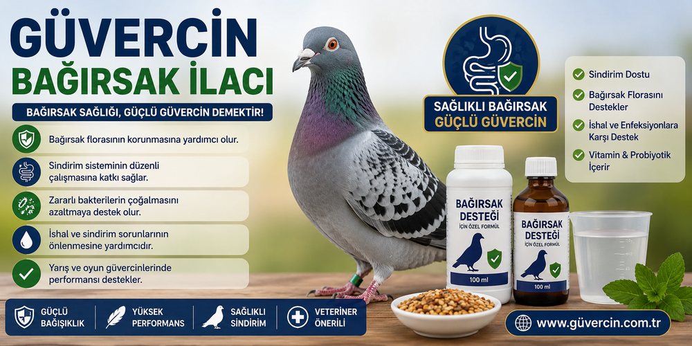 Güvercin Bağırsak İlacı Nedir? Ne İşe Yarar? En Etkili Kullanım Rehberi