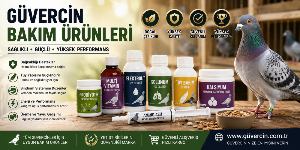 Güvercin Bakım Ürünleri: Sağlıklı ve Güçlü Güvercinler İçin Eksiksiz Rehber (2026) Güvercin Bakım Ürünleri Nedir?