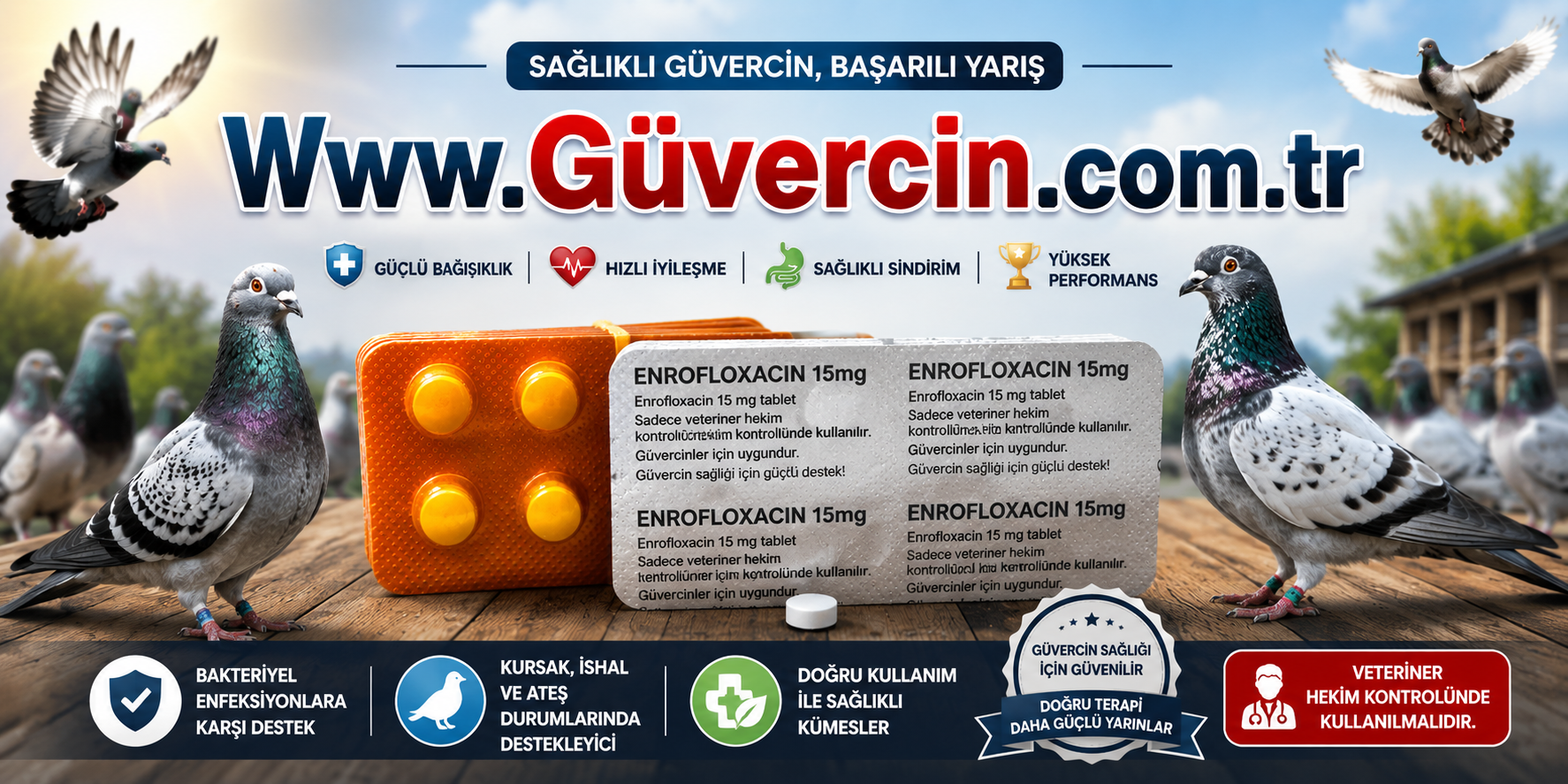 Güvercin Bulgar Hapı