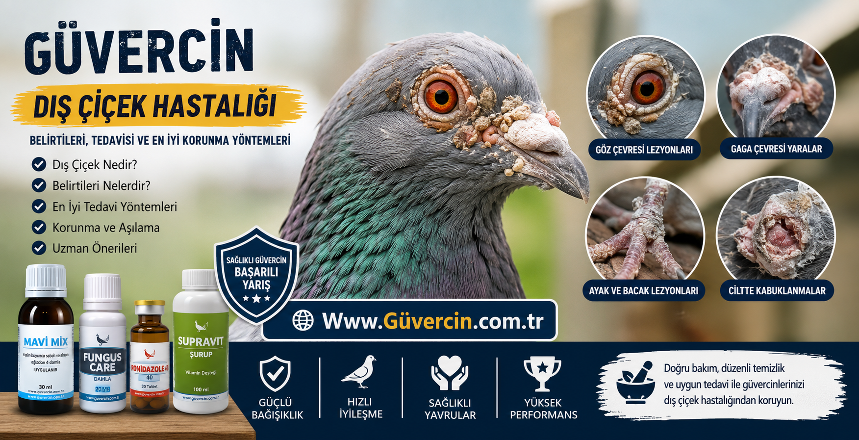 Güvercin Dış Çiçek Hastalığı Nedir? Güvercin Dış Çiçek İlacı ve Tedavisi