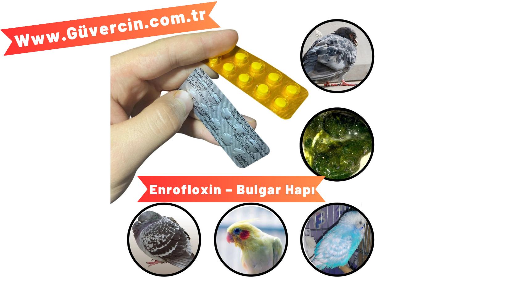 Güvercin ve bakım malzemeleri
