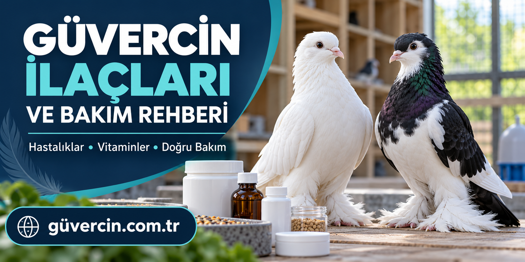 Güvercin bakımı ve sağlığıyla ilgili bakım yapan kişi