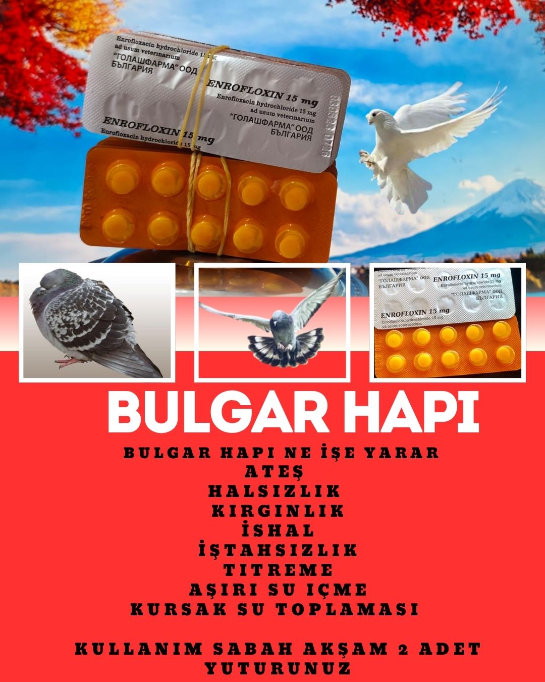 Enrofloxin – Bulgar Hapı