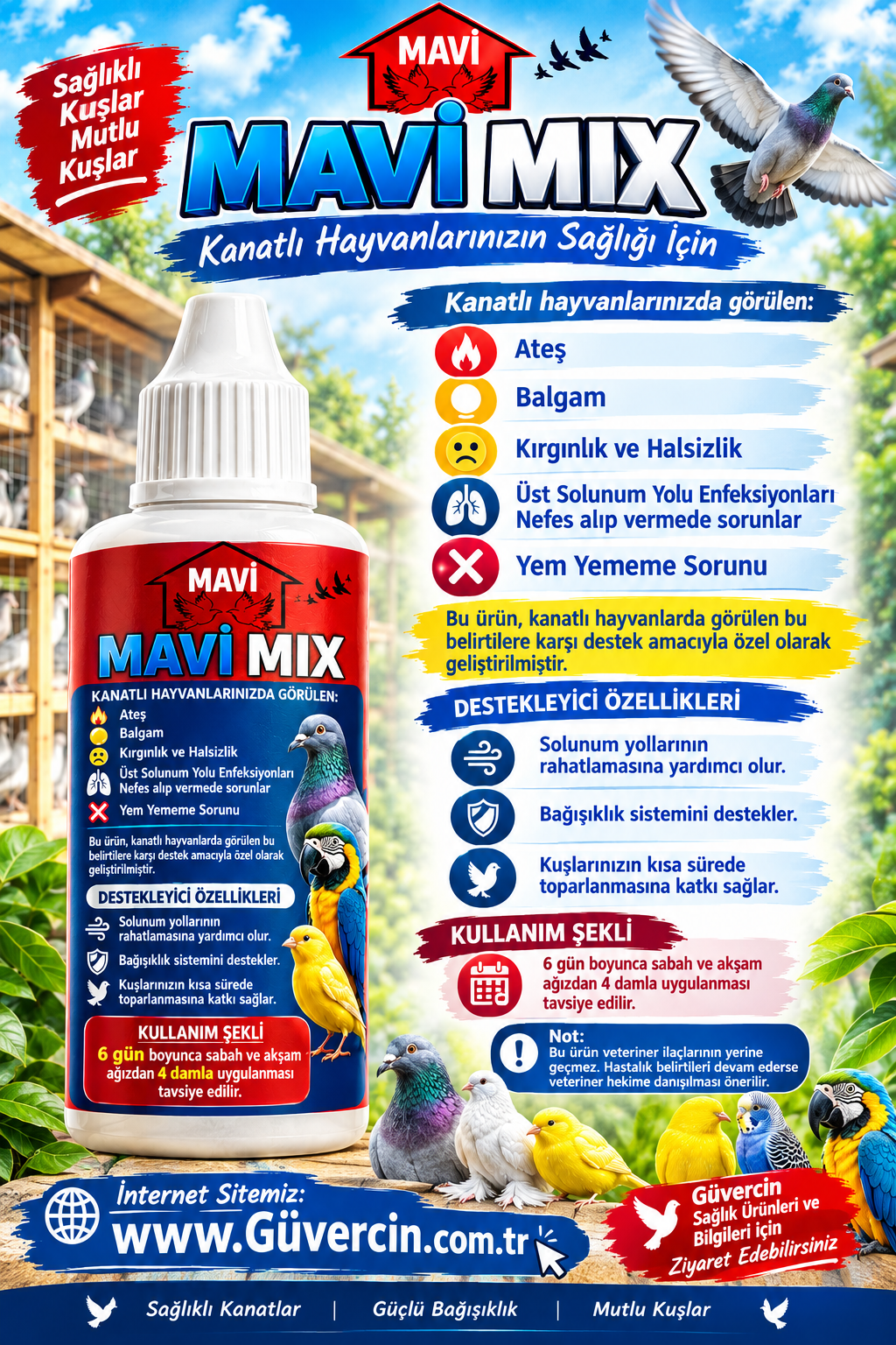 MAVI MIX