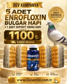 5 Enrofloxin Bulgar Hapı + 1 Depovit Yavru Hapı Seti