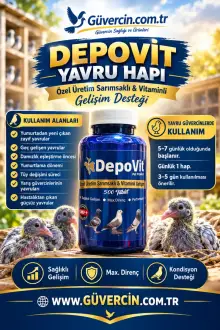 Depovit Yavru Hapı
