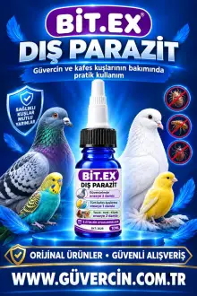 BİT.EX Ense Damlası 10 ml