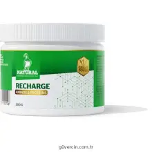 Natural Güvercin Yeşil Enerji Şarjı